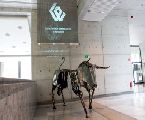 Prawo rynku kapitałowego  w perspektywie 21 lat funkcjonowania GPW S.A. w Warszawie