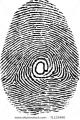 Bezpieczeństwo Technologii Biometrycznych