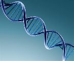Badania DNA - sposób na ustalenie ojcostwa