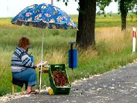 Więcej sprzedaży bezpośredniej?