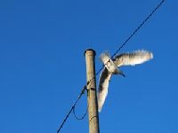 Bezpieczeństwo dostaw energii zagrożone. Kto winny?