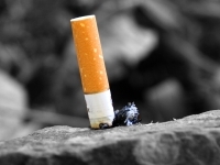 Sejm nie zagłosuje nad zakazem palenia